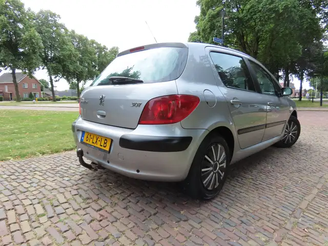 Peugeot 307 view 4
