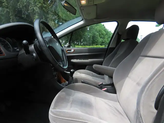 Peugeot 307 view 8