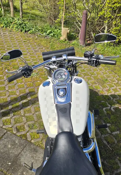 Harley-Davidson Dyna Fat Bob - foto 2