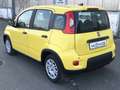 Fiat Panda MY24 1.0 Klima PDC Citypaket Giallo - thumbnail 4