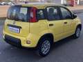 Fiat Panda MY24 1.0 Klima PDC Citypaket Giallo - thumbnail 3