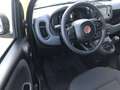 Fiat Panda MY24 1.0 Klima PDC Citypaket Giallo - thumbnail 12