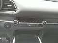 Mazda CX-30 X186 AWD HOMURA Grau - thumbnail 10