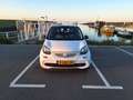 smart forFour forFour 1.0 Proxy Wit - thumbnail 10