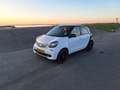 smart forFour forFour 1.0 Proxy Wit - thumbnail 11