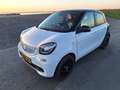 smart forFour forFour 1.0 Proxy Wit - thumbnail 1