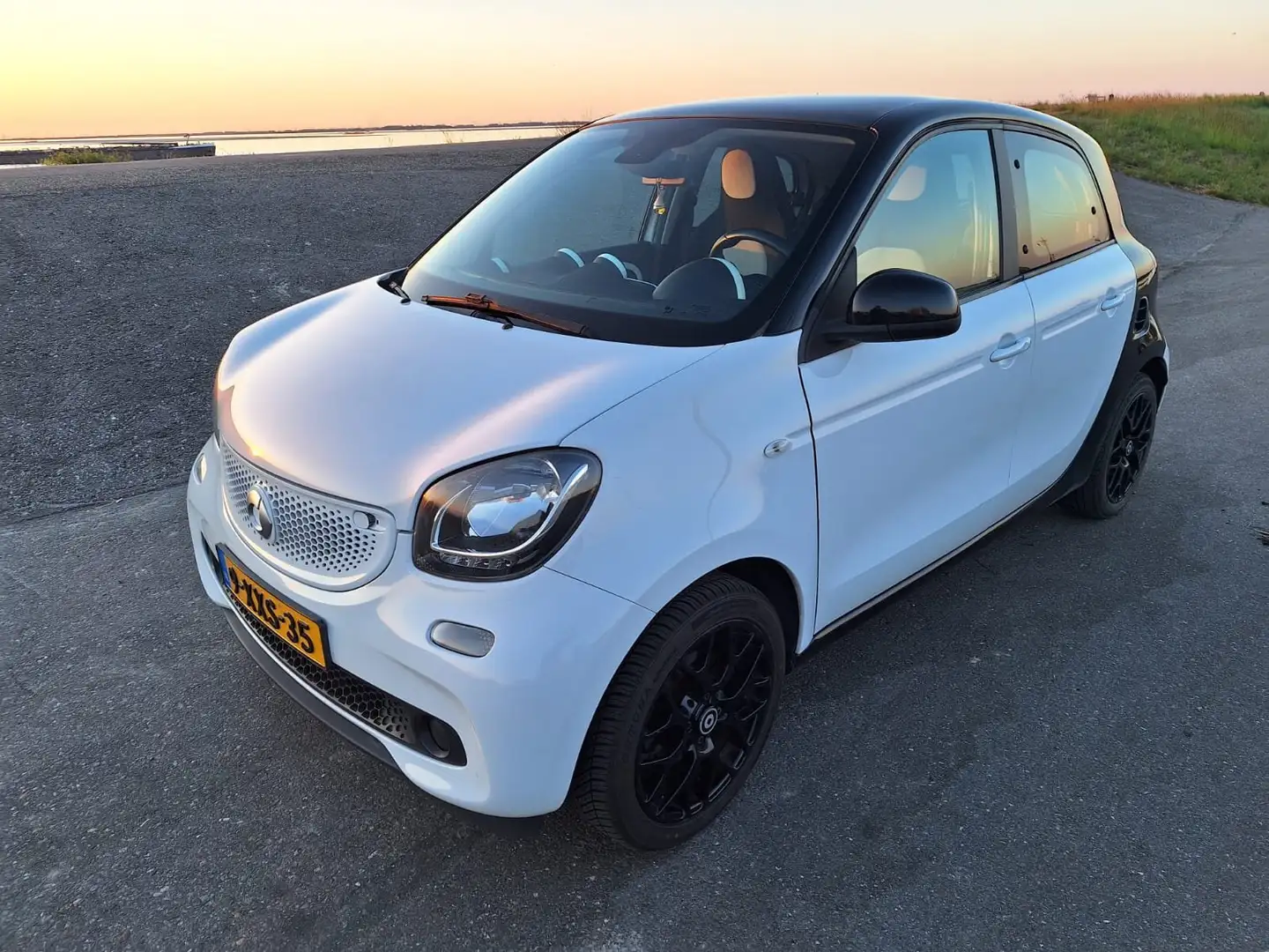 smart forFour forFour 1.0 Proxy Wit - 1