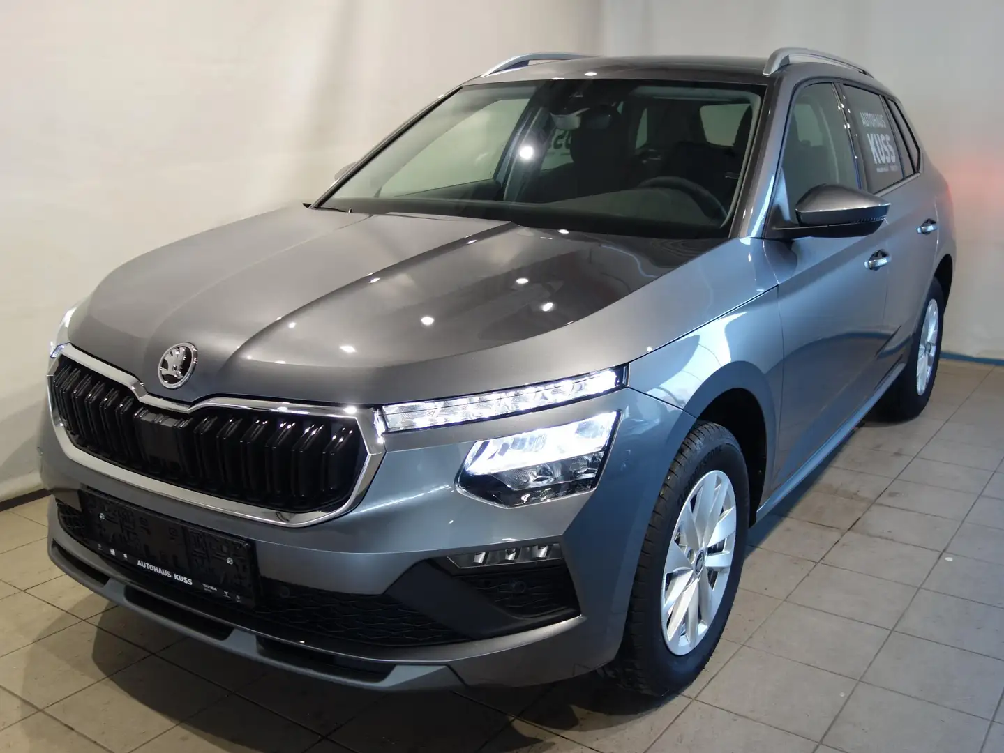 Skoda Kamiq Selection TSI DSG Grau - 1