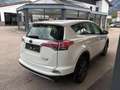 Toyota RAV4 Weiß - thumbnail 5