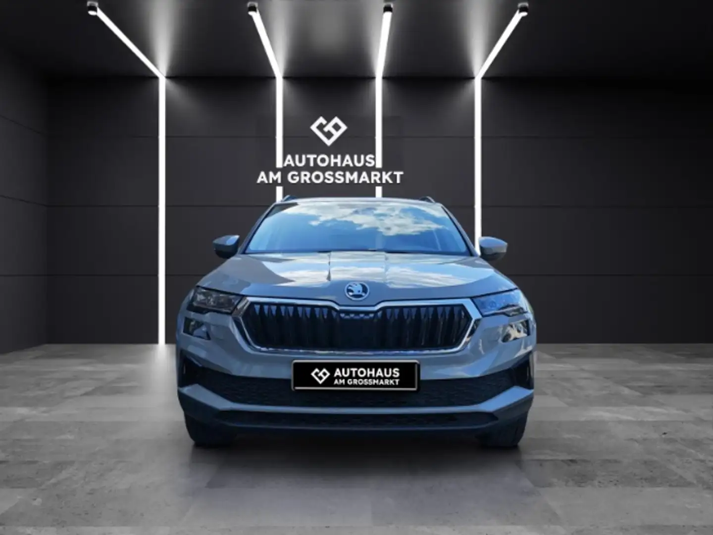 Skoda Karoq Ambition 4x4 2.0 TDI Navi PDC Kamera ACC Apple Car Gris - 1
