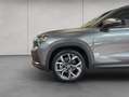Skoda Kodiaq 2.0 TDI 4x4 DSG Pano Grau - thumbnail 20