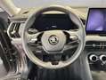 Skoda Kodiaq 2.0 TDI 4x4 DSG Pano Gris - thumbnail 10
