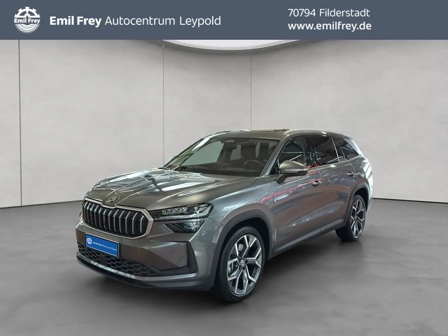 Skoda Kodiaq 2.0 TDI 4x4 DSG Pano Grau - 1