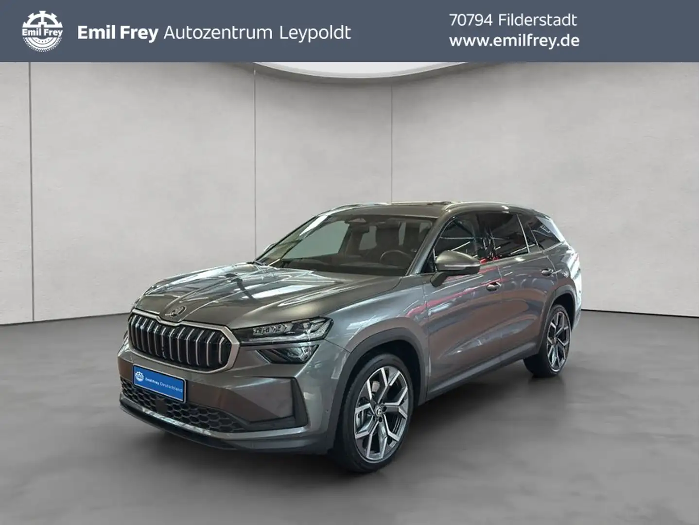 Skoda Kodiaq 2.0 TDI 4x4 DSG Pano Gris - 1