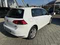 Volkswagen Golf Golf VII 2013 5p 1.4 tgi Highline dsg Bianco - thumbnail 3