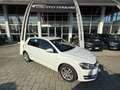 Volkswagen Golf Golf VII 2013 5p 1.4 tgi Highline dsg Bianco - thumbnail 1