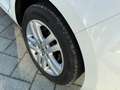 Volkswagen Golf Golf VII 2013 5p 1.4 tgi Highline dsg Bianco - thumbnail 7
