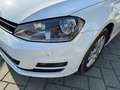 Volkswagen Golf Golf VII 2013 5p 1.4 tgi Highline dsg Bianco - thumbnail 6