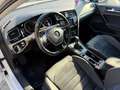 Volkswagen Golf Golf VII 2013 5p 1.4 tgi Highline dsg Bianco - thumbnail 11
