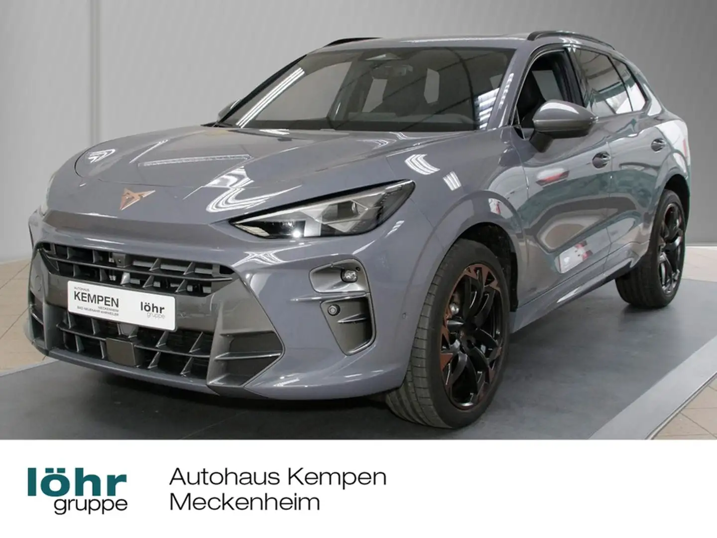 CUPRA Terramar VZ 2.0 TSI (265PS) 7-Gang DSG 4Drive Grau - 1