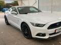 Ford Mustang 5.0 V8 GT Fastback*deuts. Modell*Xenon Weiß - thumbnail 4