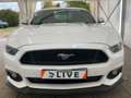 Ford Mustang 5.0 V8 GT Fastback*deuts. Modell*Xenon Weiß - thumbnail 2