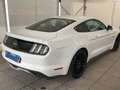 Ford Mustang 5.0 V8 GT Fastback*deuts. Modell*Xenon Weiß - thumbnail 5
