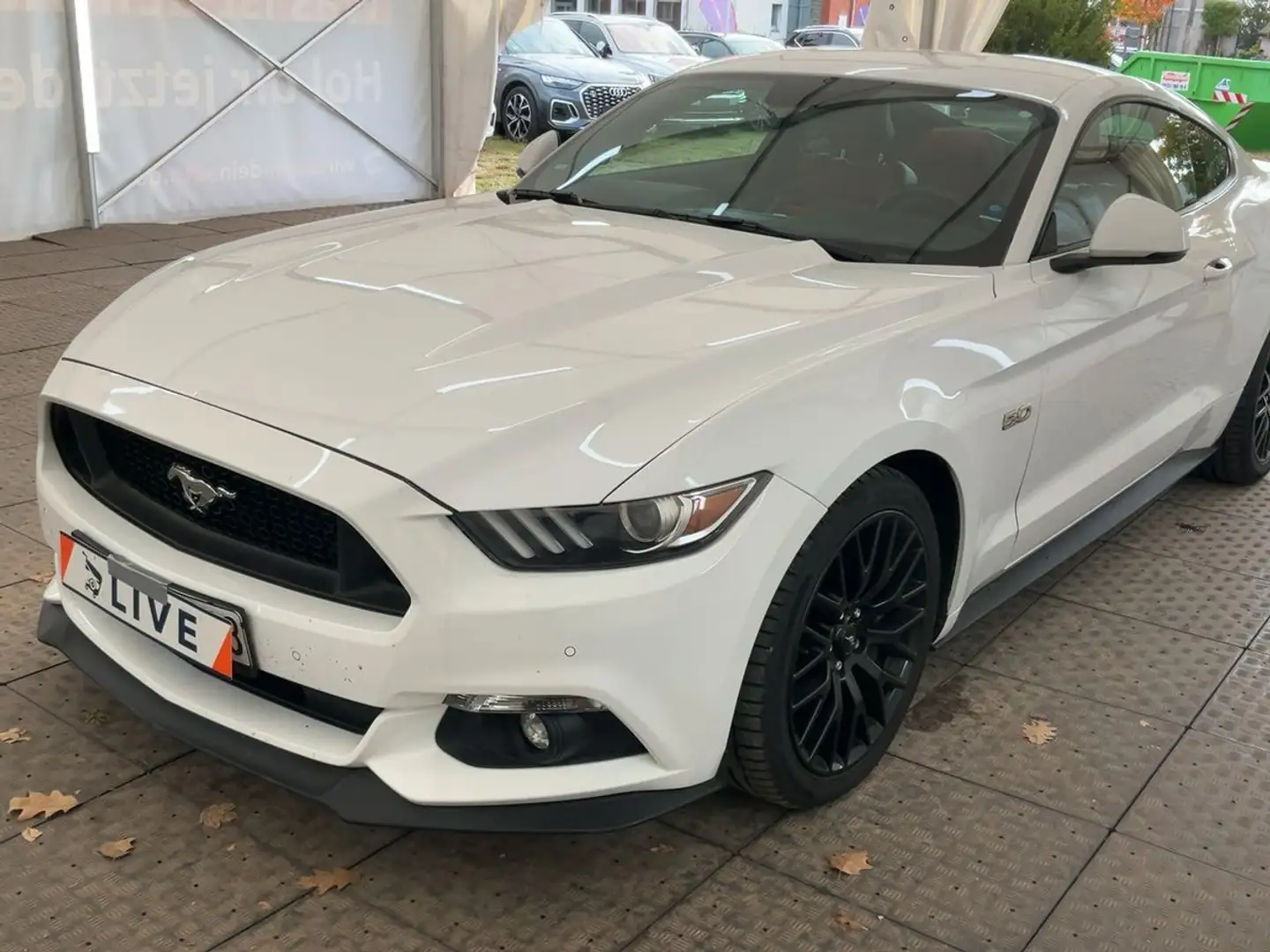 Ford Mustang 5.0 V8 GT Fastback*deuts. Modell*Xenon Weiß - 1