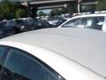 Peugeot 508 1.5BlueHDi S&S Active Pack EAT8 130 Blanco - thumbnail 18