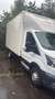 Ford Transit Bus Kasten - thumbnail 2