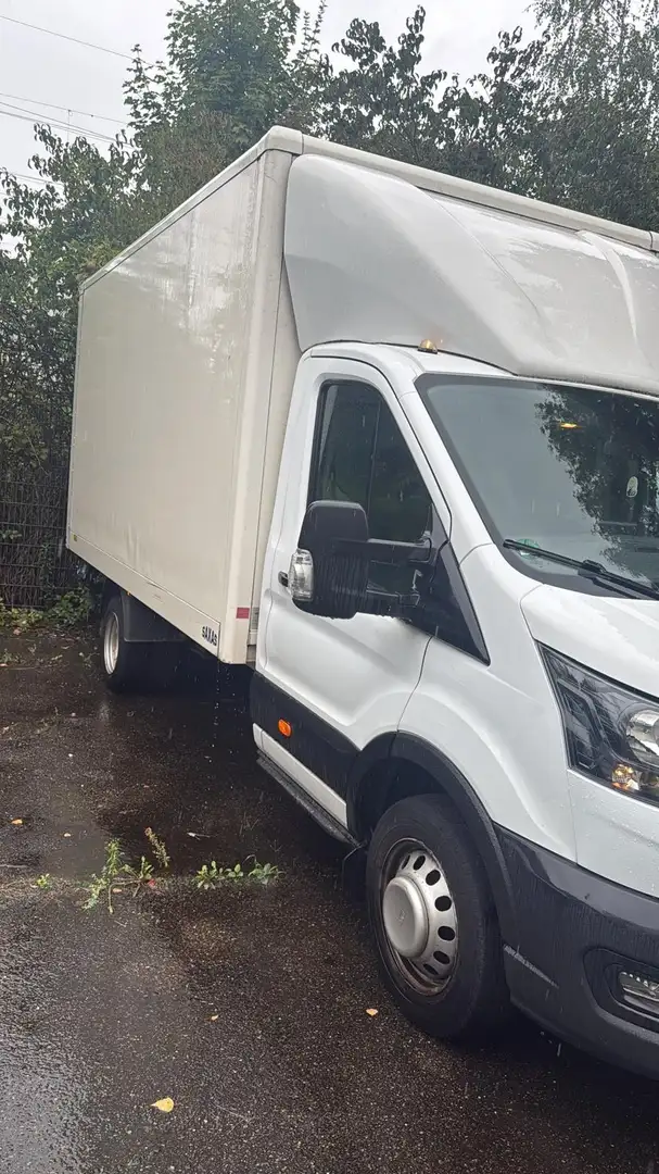 Ford Transit Bus Kasten - 2