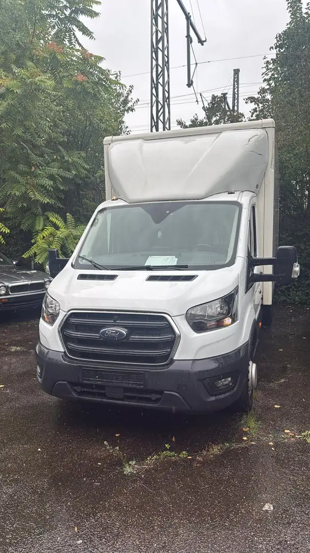 Ford Transit Bus Kasten - 1