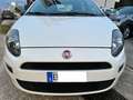 Fiat Punto Evo 1.4 80 cv Benzina/Gpl Black line Blanco - thumbnail 1