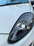 Fiat Punto Evo 1.4 80 cv Benzina/Gpl Black line Blanco - thumbnail 4