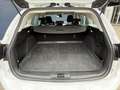 Ford Focus Wagon 1.0 EcoBoost 100pk Trend Edition | Airco | C Bianco - thumbnail 9
