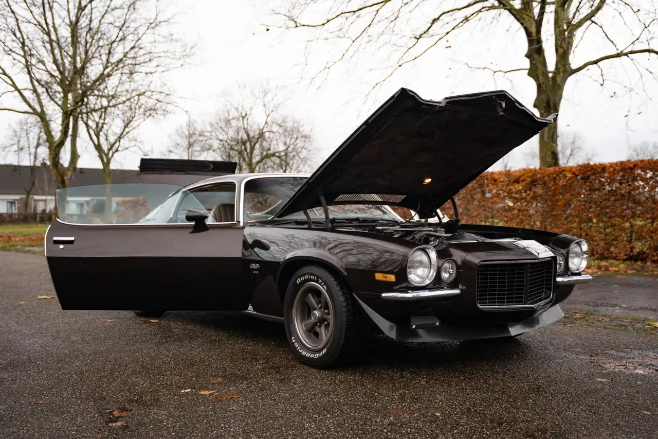 Chevrolet Camaro RS/SS 396, foto 6