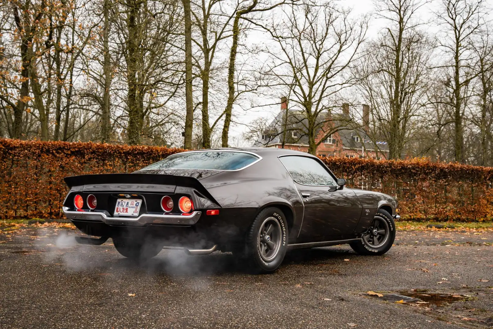 Chevrolet Camaro RS/SS 396 Unrestored Survivor Braun - 2