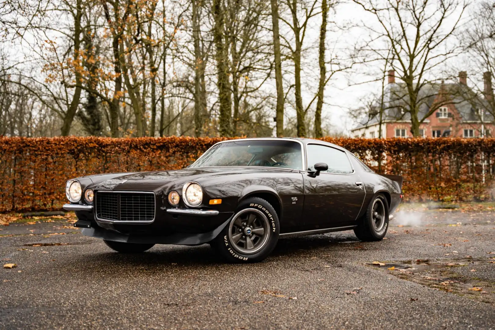 Chevrolet Camaro RS/SS 396 Unrestored Survivor Braun - 1