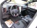 Ford Ranger Raptor 3.0 e-4WD SOFORT Doppelkabine AHK LED B&O P Blanc - thumbnail 12