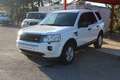 Land Rover Freelander II 4X4 2.2L TD4 16V 150CV BVA6 PACK SPORT/SE DYNAM Alb - thumbnail 1