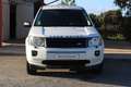 Land Rover Freelander II 4X4 2.2L TD4 16V 150CV BVA6 PACK SPORT/SE DYNAM Білий - thumbnail 2