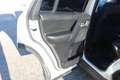 Land Rover Freelander II 4X4 2.2L TD4 16V 150CV BVA6 PACK SPORT/SE DYNAM Wit - thumbnail 40
