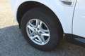 Land Rover Freelander II 4X4 2.2L TD4 16V 150CV BVA6 PACK SPORT/SE DYNAM Alb - thumbnail 7