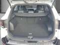 Kia Sportage 1.6T 48V 2WD DCT GT LINE DriveWise-Paket Klimasitz Bianco - thumbnail 5