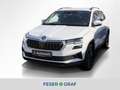 Skoda Karoq 2.0 TDI Tour DSG AHK Matrix Navi Sitzh. Weiß - thumbnail 1