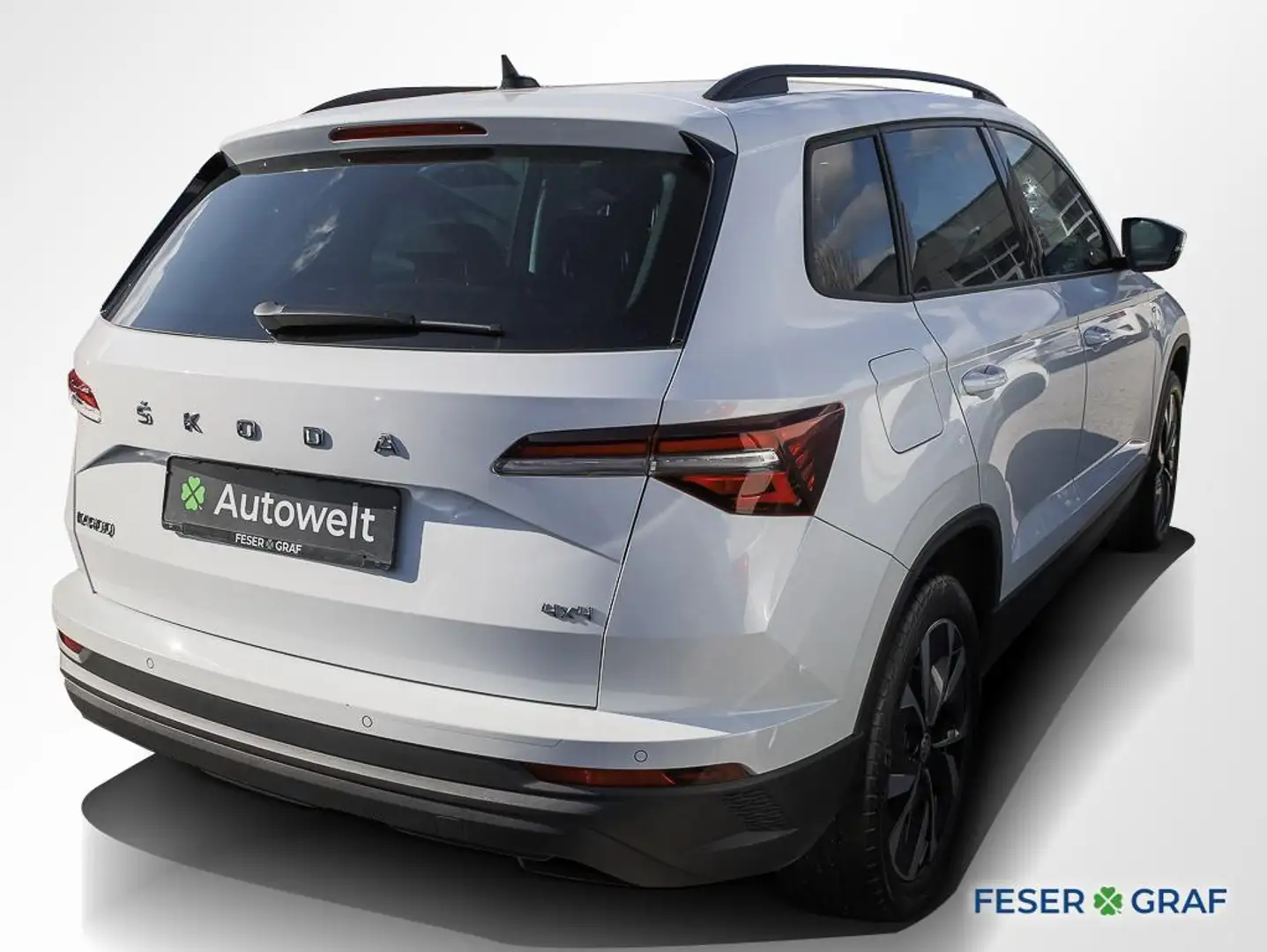 Skoda Karoq 2.0 TDI Tour DSG AHK Matrix Navi Sitzh. Bianco - 2