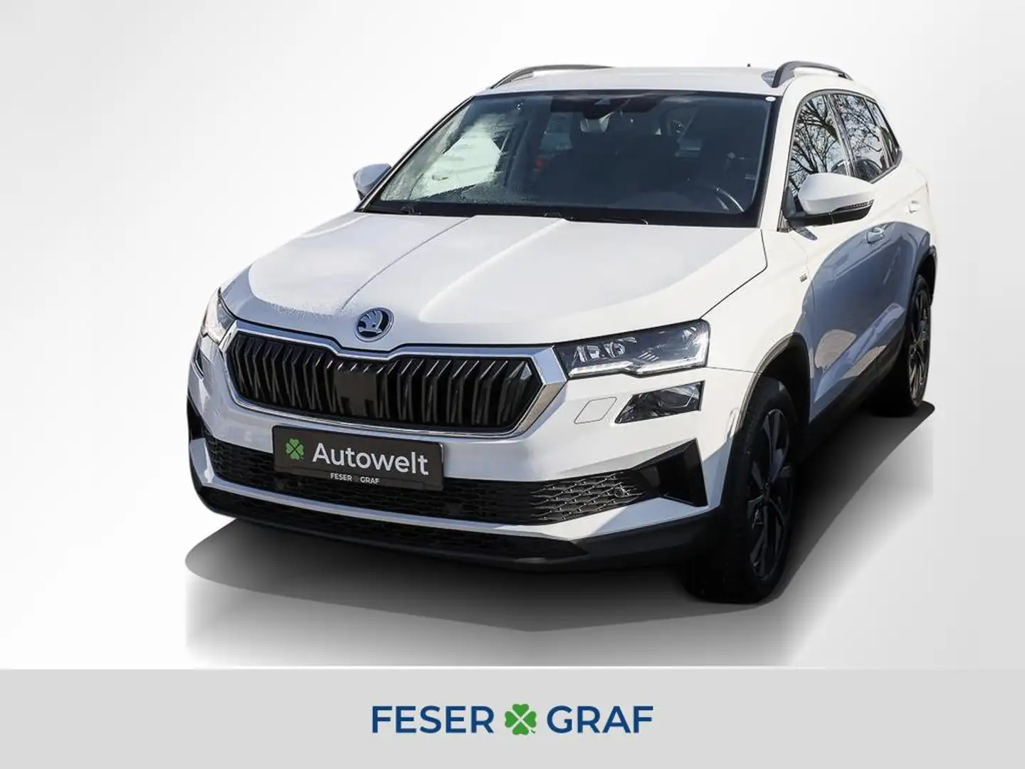 Skoda Karoq 2.0 TDI Tour DSG AHK Matrix Navi Sitzh. Bianco - 1