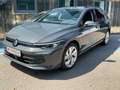 Volkswagen Golf Variant Business mHeV DSG Grau - thumbnail 1