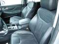 Hyundai SANTA FE Santa Fe 2.2 CRDi 4WD A/T 7 posti Excellence Grigio - thumbnail 11