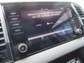 Skoda Karoq 1.5 TSI ACT Style DSG | stoelverwarming | full led Blauw - thumbnail 14